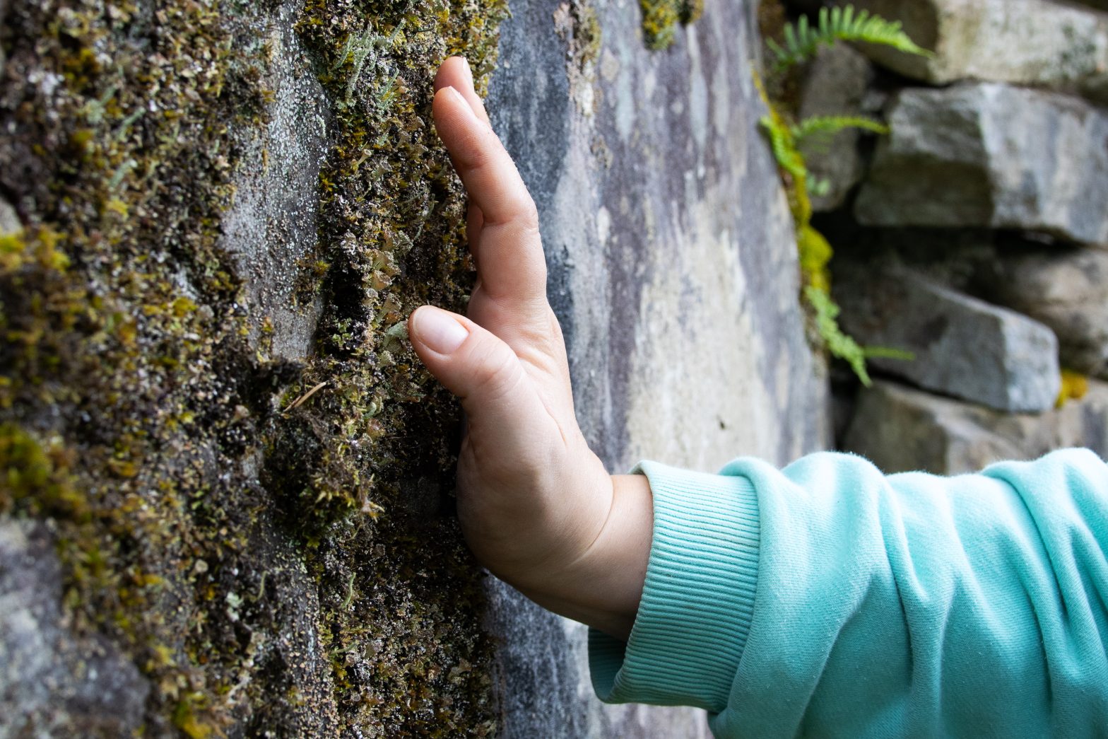 An image of someone touching a mossy rock.